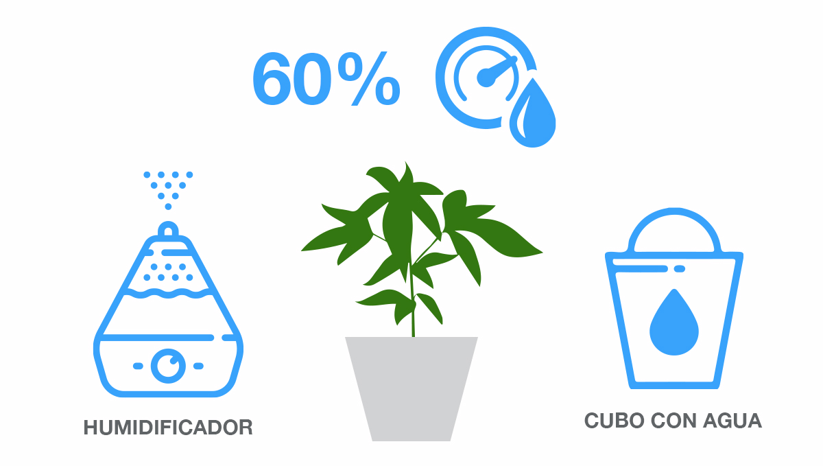 Control de humedad Control de humedad