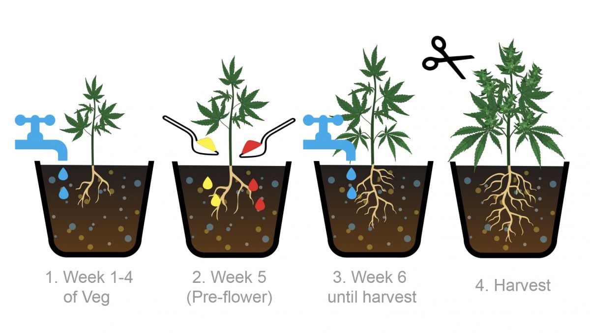 Bio tabs usage guide: schedule for photos Bio tabs usage guide: schedule for photos