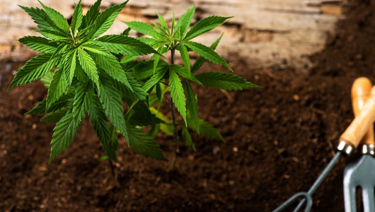 Bio tabs usage guide: products Bio tabs usage guide: products