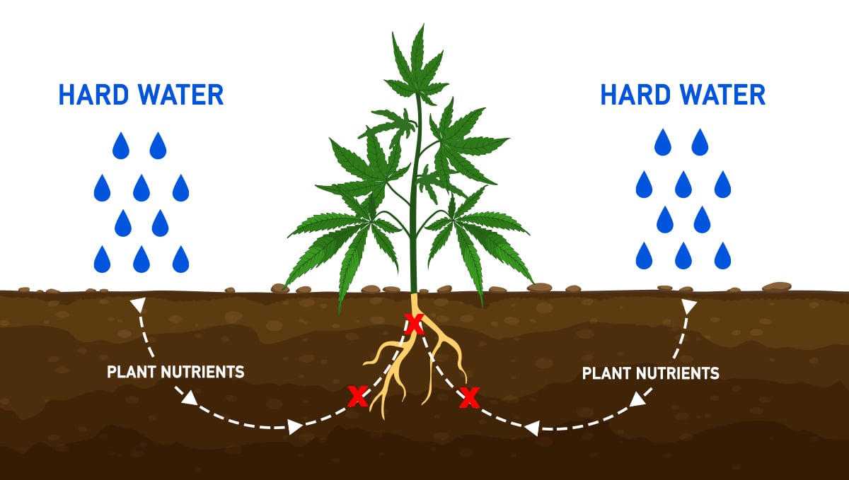 The importance of water purity: hard water The importance of water purity: hard water