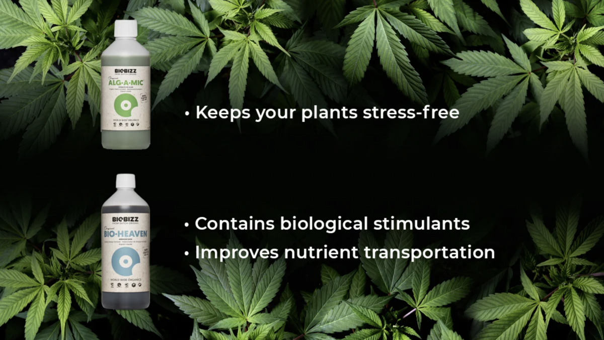 Screenshot 2021-05-11 at 13.52.01.png