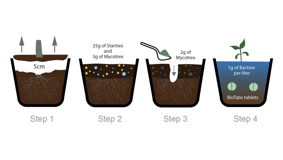 Bio tabs usage guide: recycling Bio tabs usage guide: recycling
