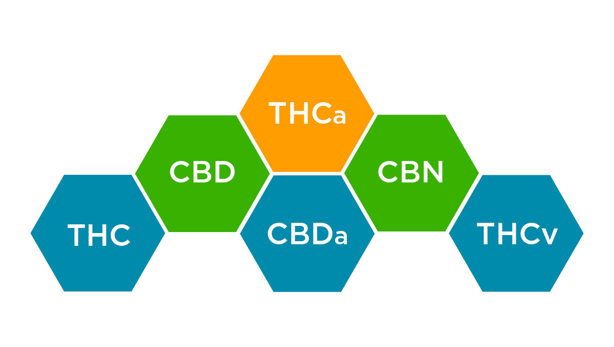 What are Cannabinoids?