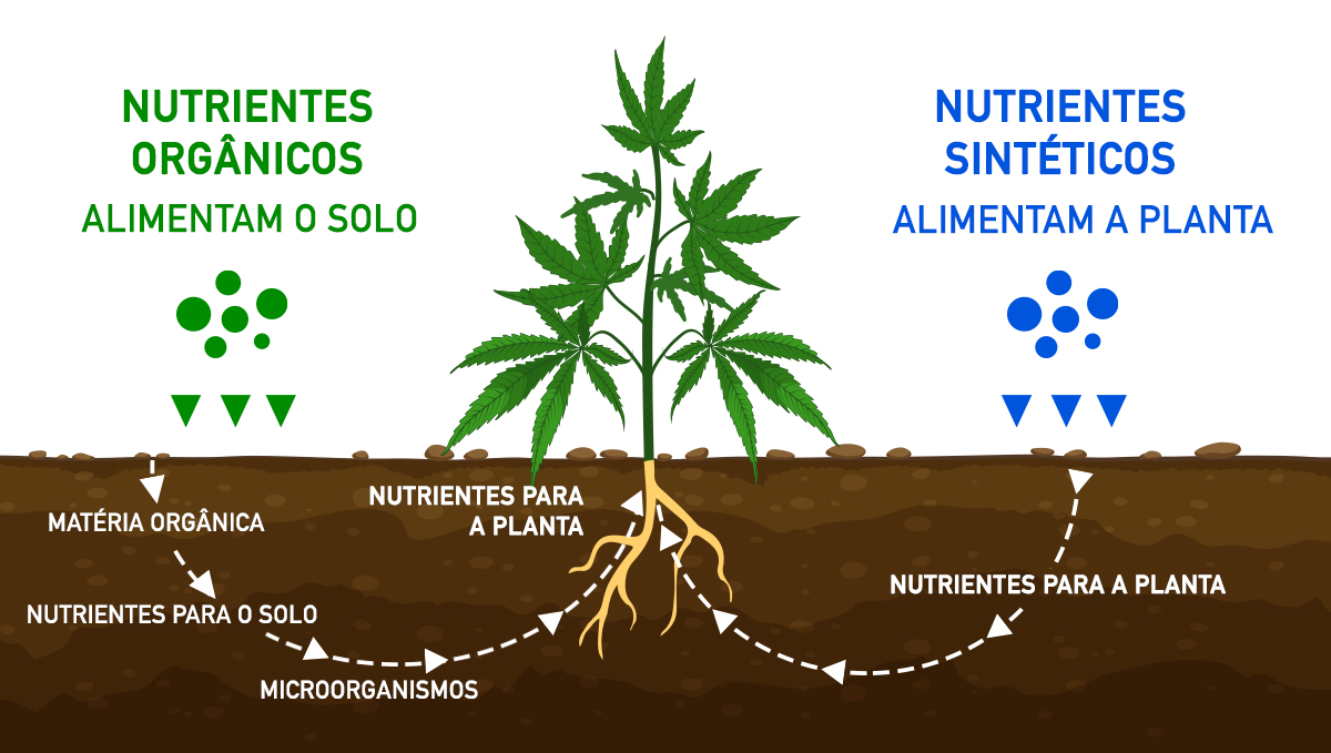 Orgânico vs sintético Orgânico vs sintético