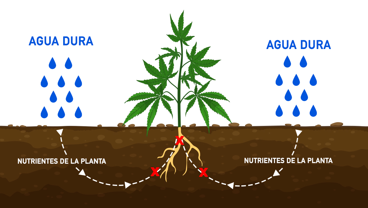 La importancia de la pureza del agua: agua dura