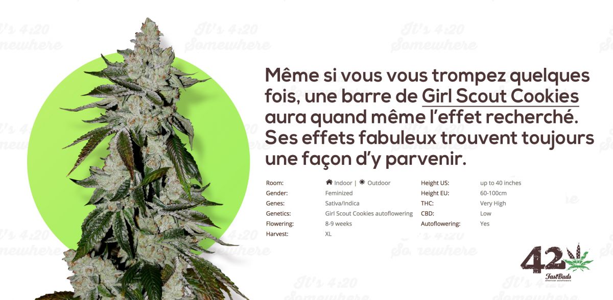 gsc fr.jpg Fast Buds' Autoflower Girl Scout Cookies