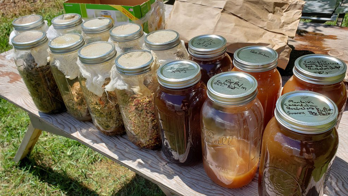 Korean natural farming: fermented juices