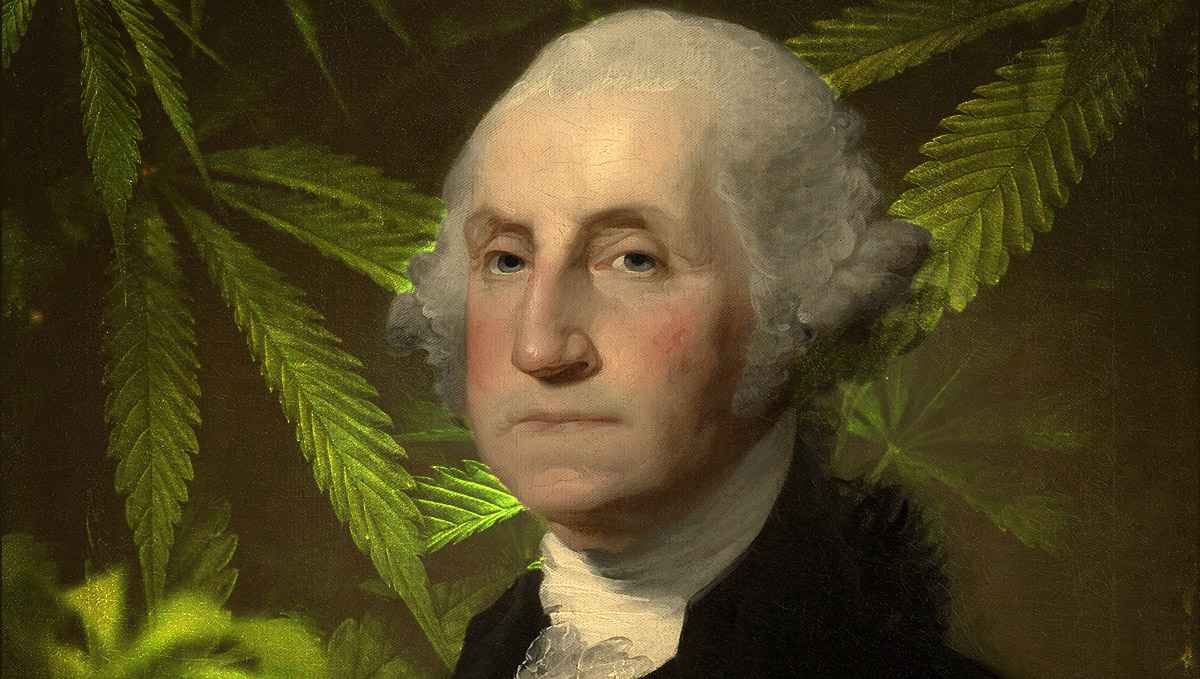 Evidence of cannabis use has been found in G. Washington's journals.