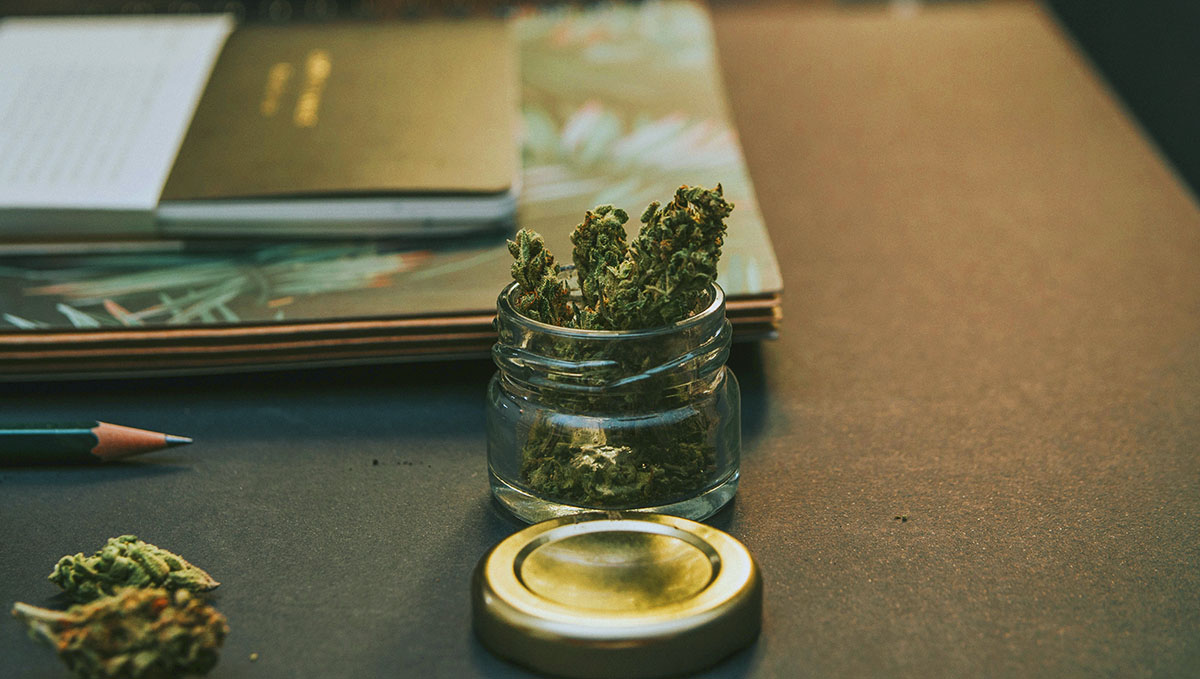 Cannabis: From Bud Tender to Master Grower: Accountants, lawyers and marketing directors are also needed!