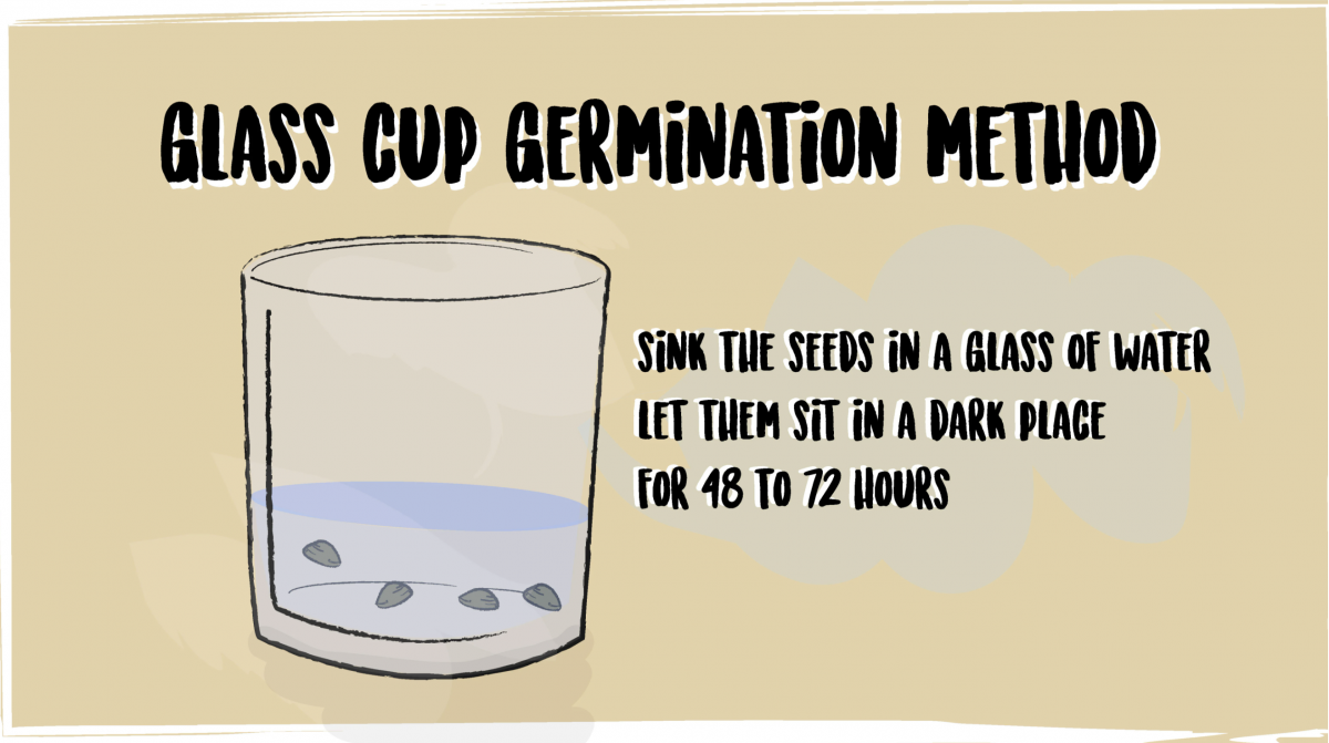 Screenshot 2021-05-04 at 12.56.33.png