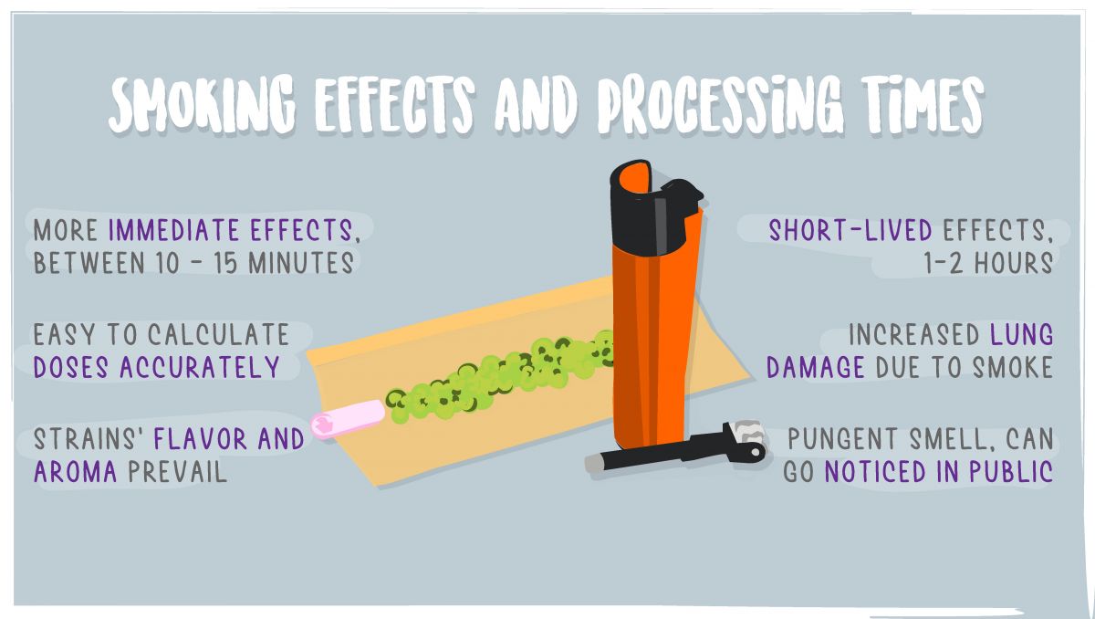 Edibles impact on your brain: smoking cannabis Edibles impact on your brain: smoking cannabis