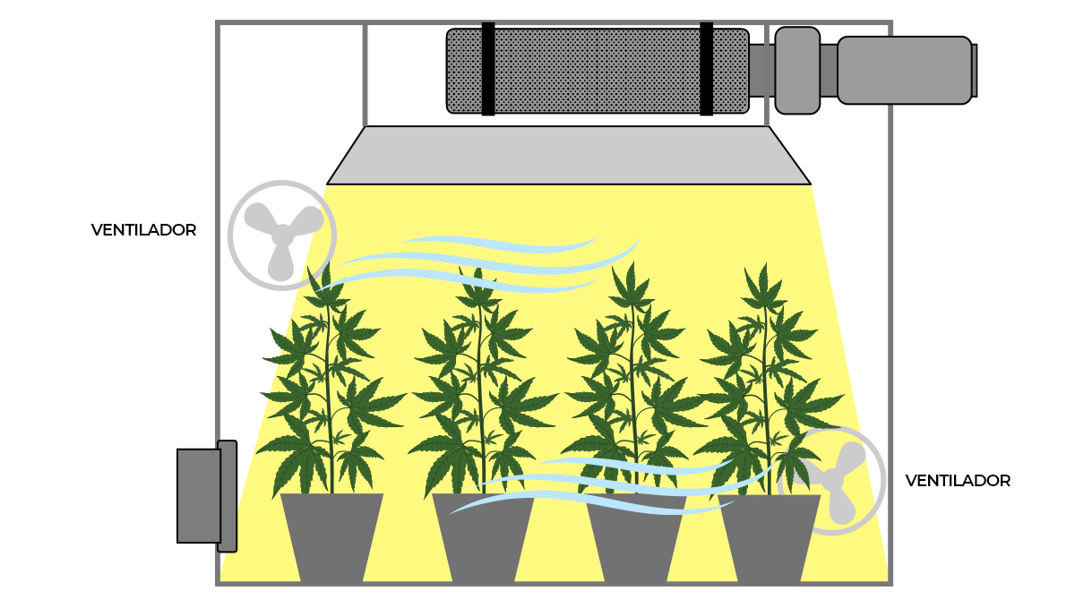 La importancia de la circulación del aire: coloque ventiladores La importancia de la circulación del aire: coloque ventiladores