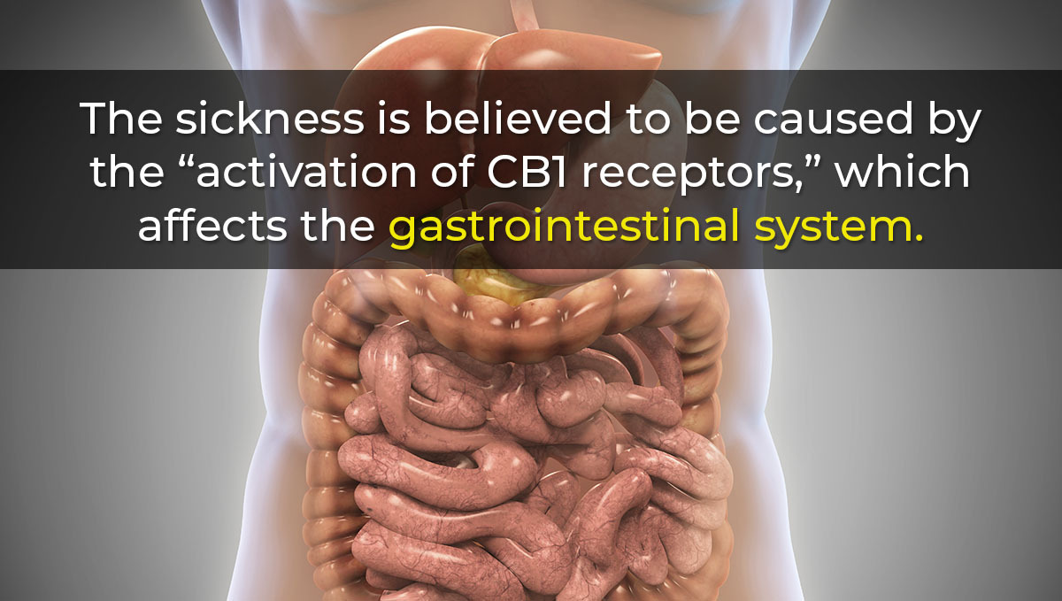 Cannabinoid Hyperemesis Syndrome (CHS) Explained: Risk estimates among frequent consumers