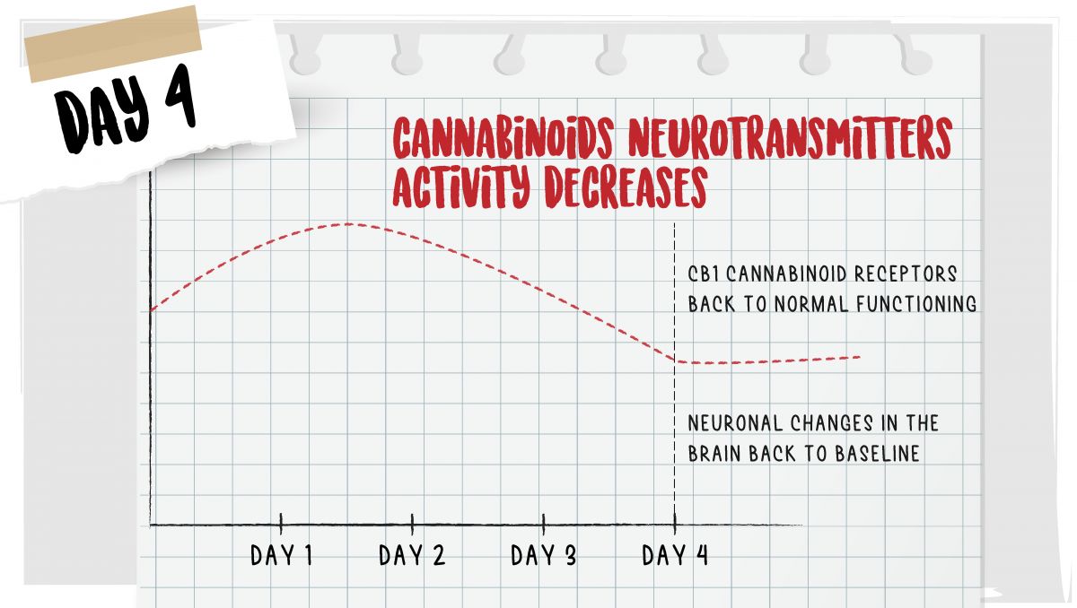 What happens when you stop consuming weed: day 4 of quitting