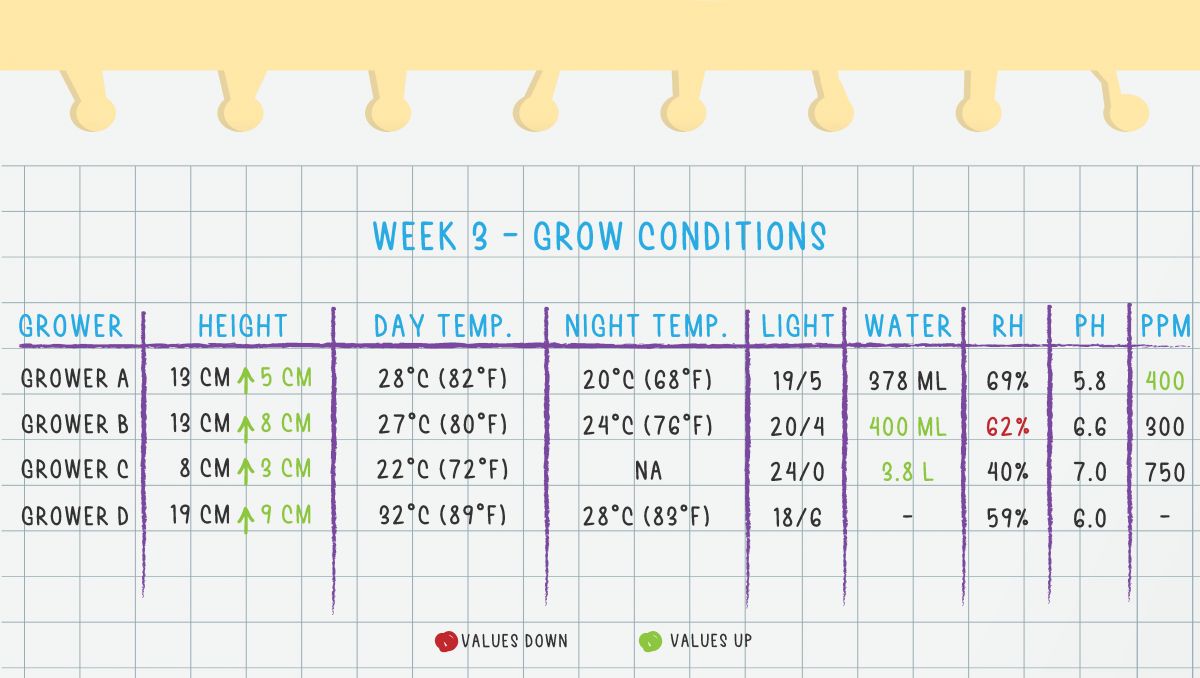 Grow Conditions Week 3 Grow Conditions Week 3
