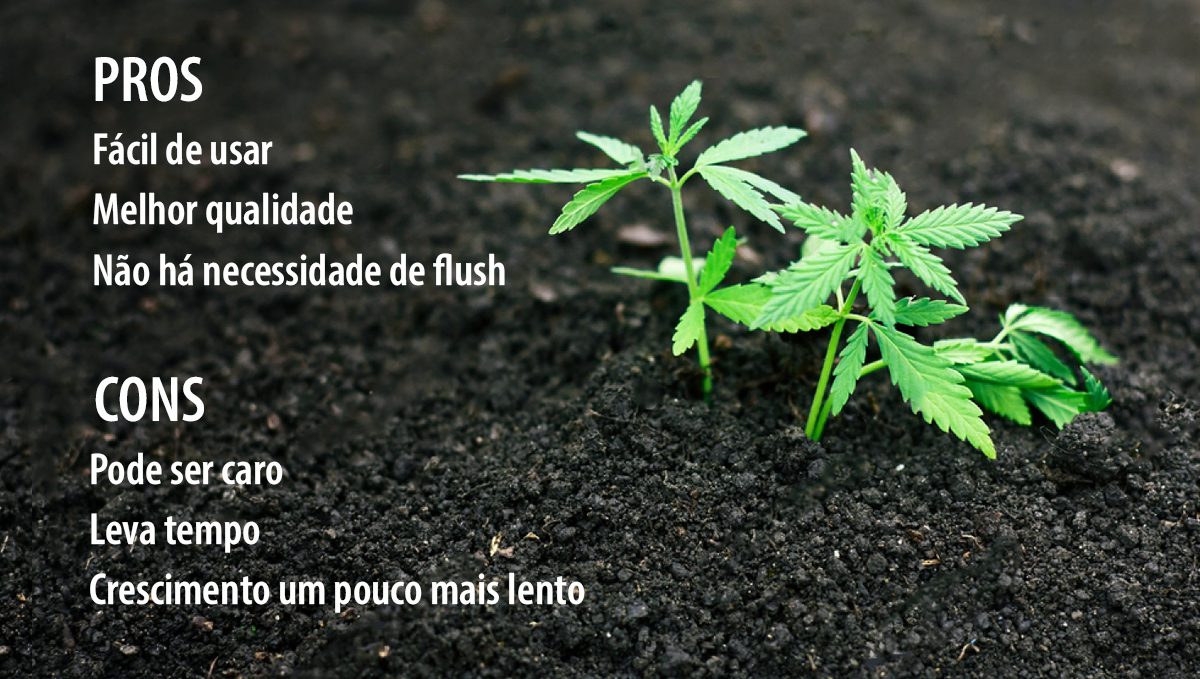 Super soil para cannabis: pros e cons Super soil para cannabis: pros e cons