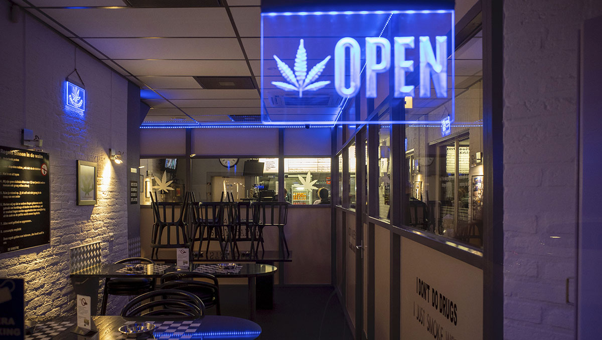 Cannabis: From Bud Tender to Master Grower: Check out the different cannabis retail positions.
