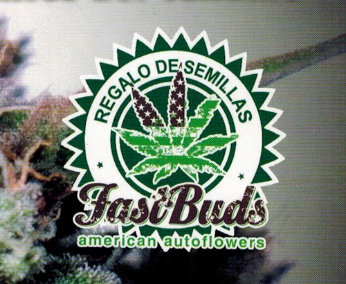 Promo Cannabis Magazine: Fast Buds promo