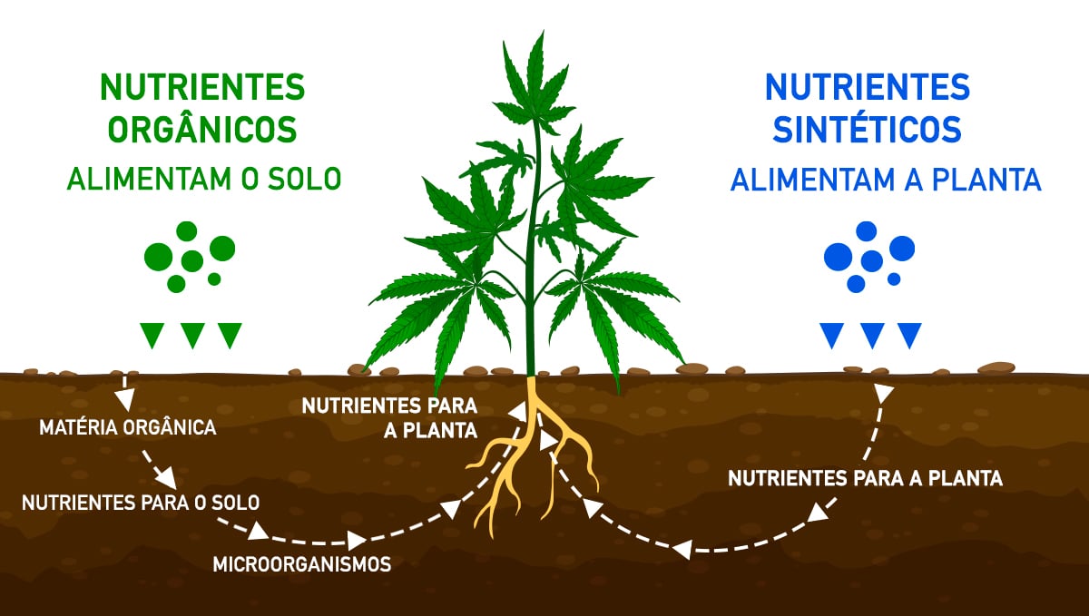 Melhor Tabela De Alimentação Para Autos: orgânico vs sintético Melhor Tabela De Alimentação Para Autos: orgânico vs sintético