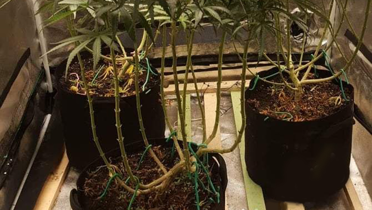 Lollipopping: Common mistakes 