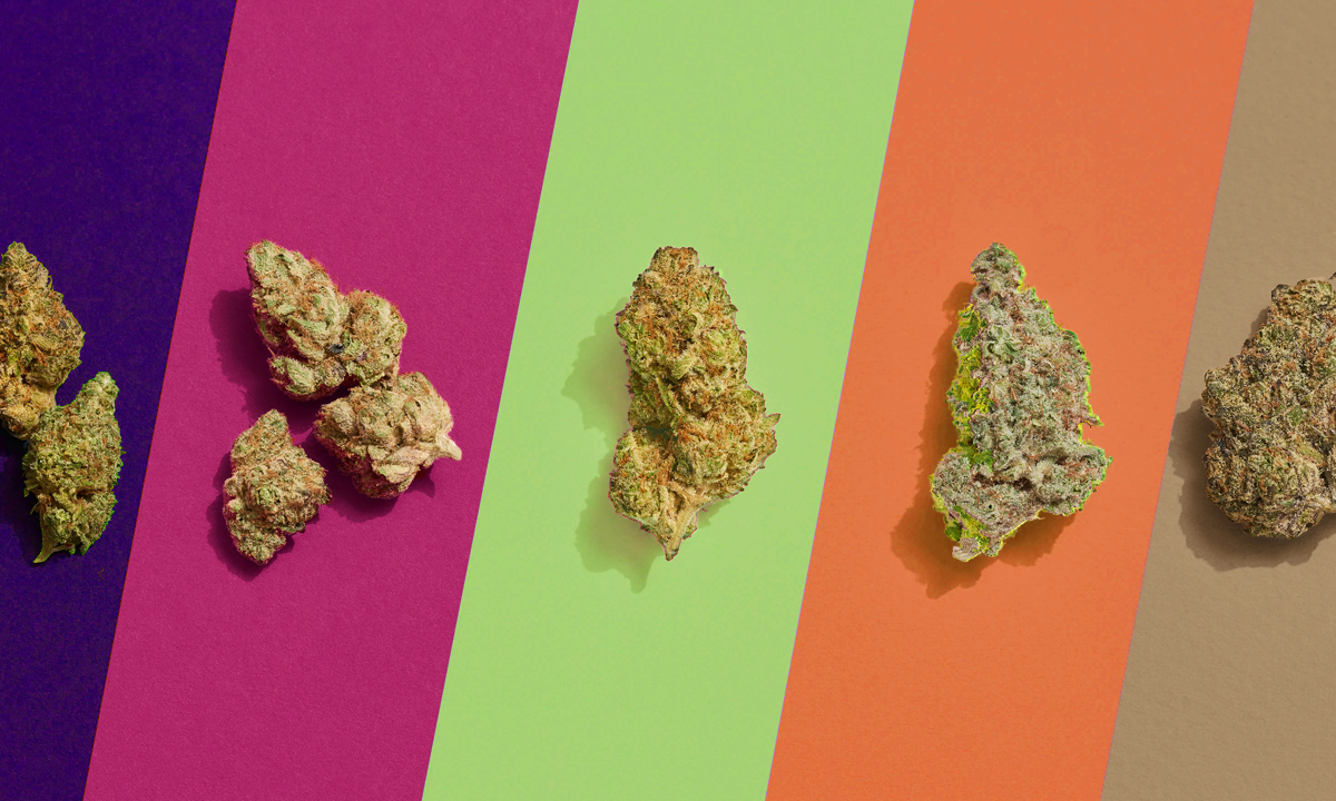 Cannabis' flavor differs when vaping or smoking