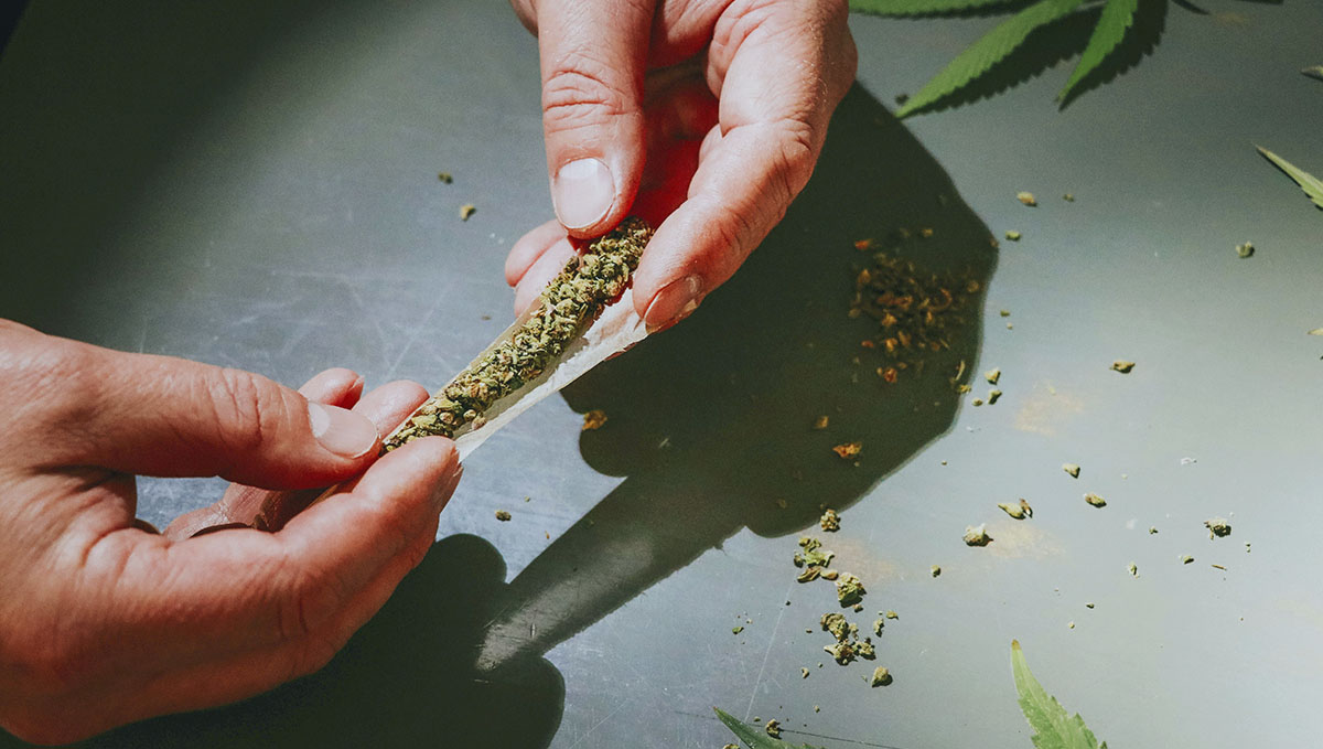 Roll your joints tightly for a slower burn. Roll your joints tightly for a slower burn.