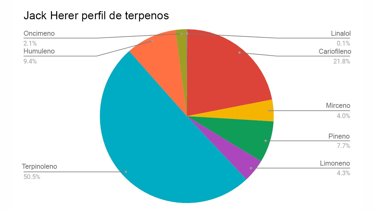 Jack Herer Auto: perfil de terpenos Jack Herer Auto: perfil de terpenos