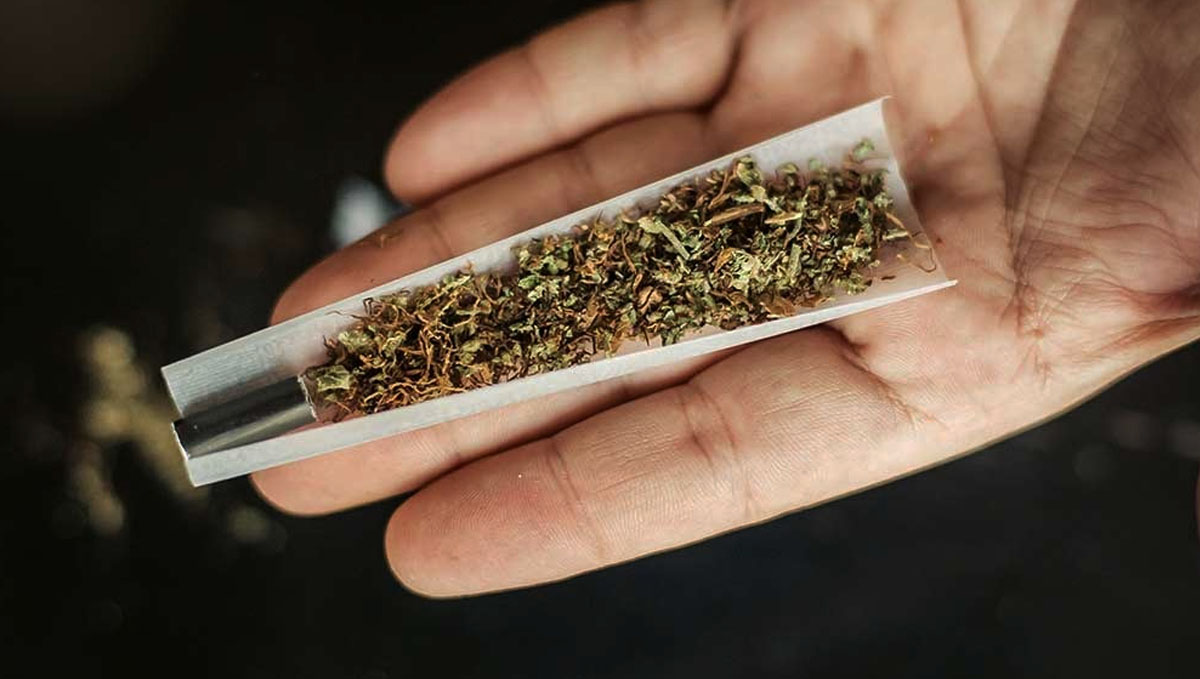 Spliff Definition – What Is a Spliff? An unrolled cigarette with marijuana and tobacco laid on a person's palm Spliff Definition – What Is a Spliff? An unrolled cigarette with marijuana and tobacco laid on a person's palm