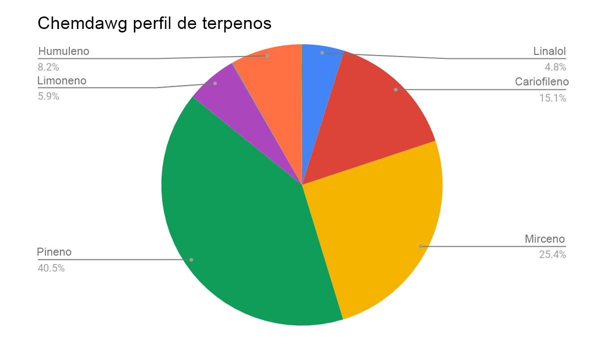 Guía automática de Chemdawg: perfil de terpenos Guía automática de Chemdawg: perfil de terpenos