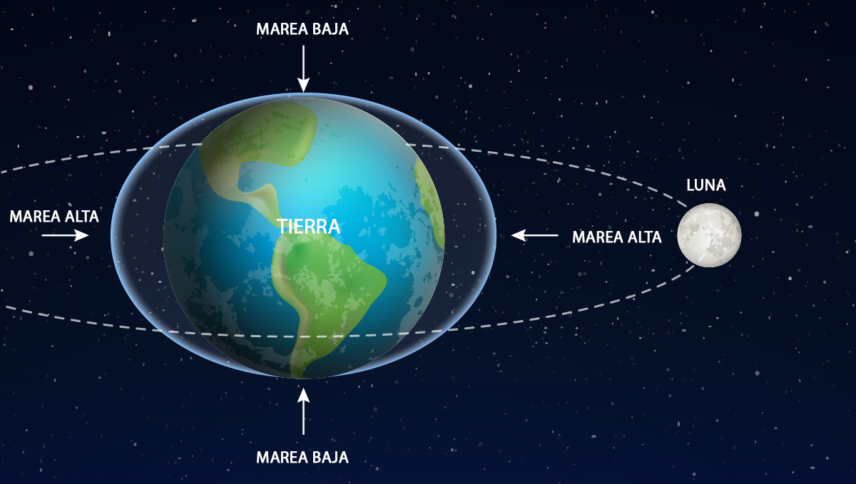 Calendario lunar: mareas