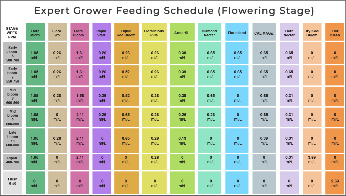 General hydroponics feeding chart: expert grower schedule for bloom
