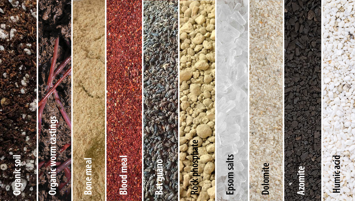 super soil for cannabis plants: supplies super soil for cannabis plants: supplies