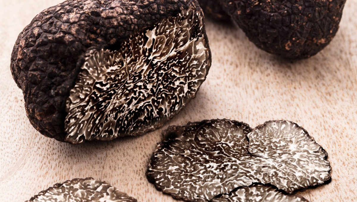 Non-marijuana cannabinoids: black truffles Non-marijuana cannabinoids: black truffles