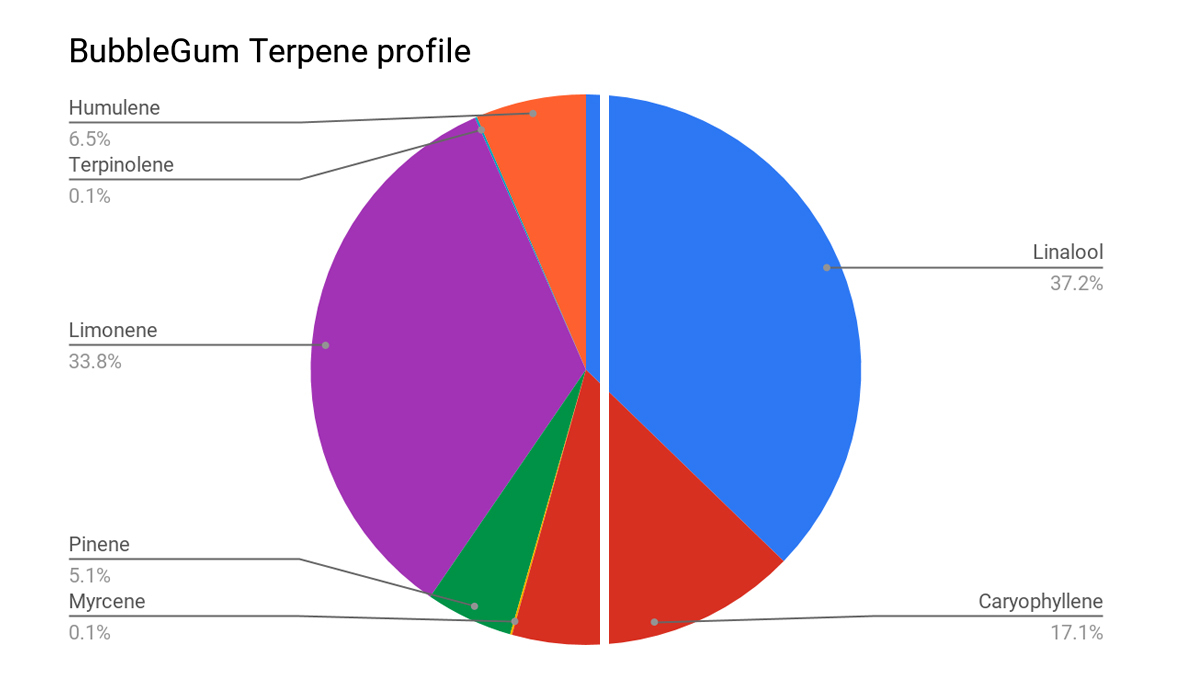 BubbleGum Auto: terpene profile