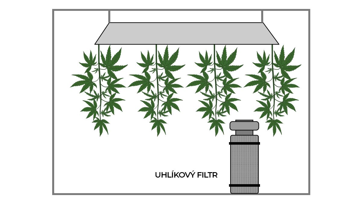 Jak sušit konopí: uhlíkový filtr