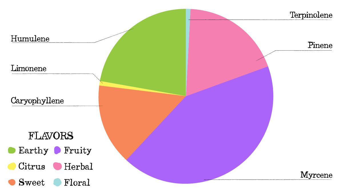 Vanilla Kush Cannabis Strain Week-by-Week Guide: Terpene profile