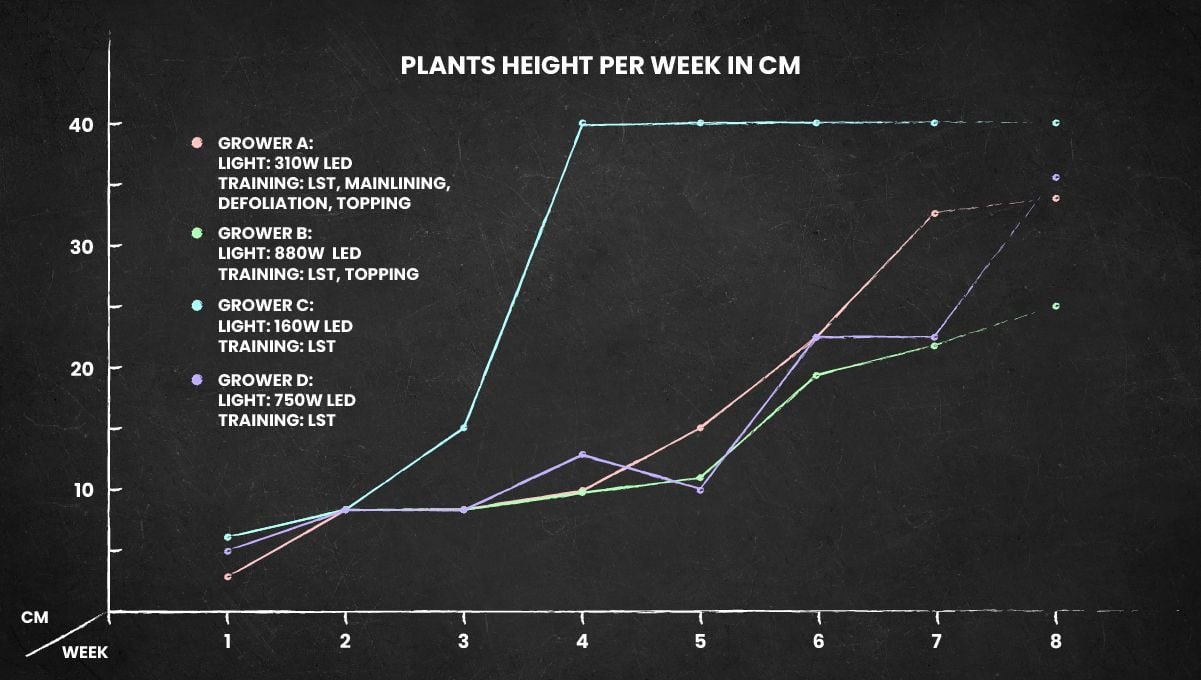 Gelato Auto Cannabis Strain Week-by-Week Guide: Height Chart Gelato Auto Cannabis Strain Week-by-Week Guide: Height Chart