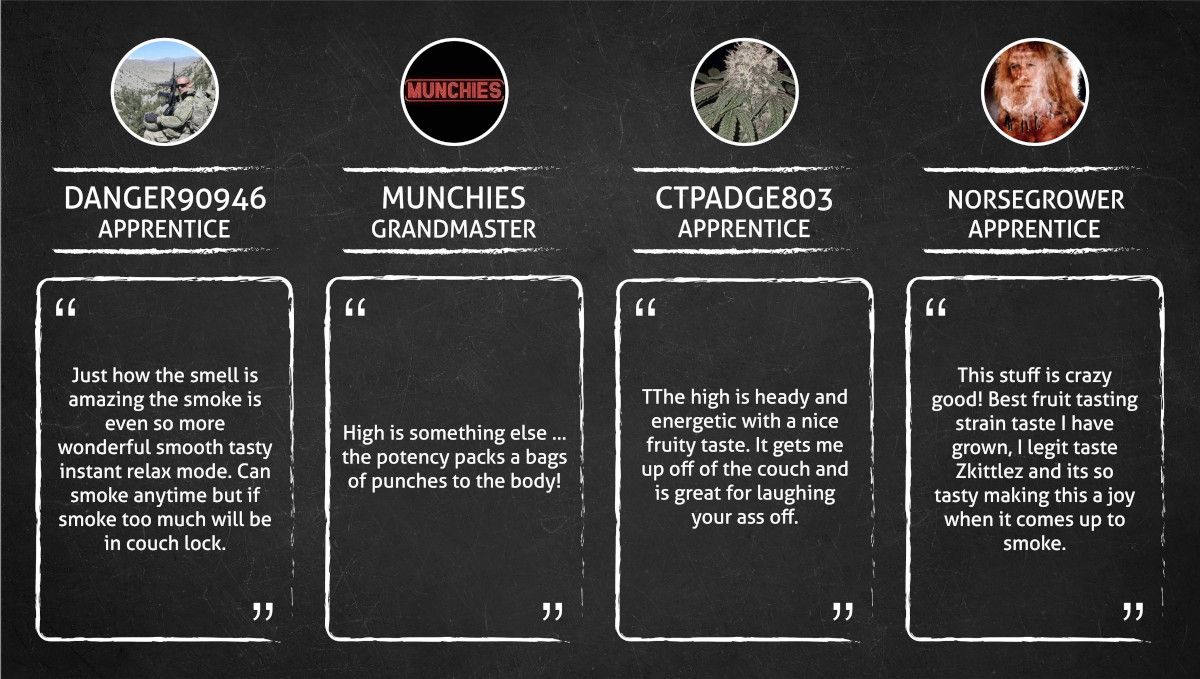 Watermelon Zkittlez Auto Cannabis Strain WeekbyWeek Guide Fast Buds