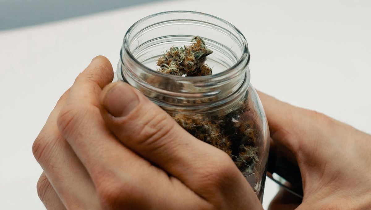 Amnesia Haze Auto: Fermentierung Achte darauf, dass du für die Fermentierung luftdichte Glasgefäße verwendest.