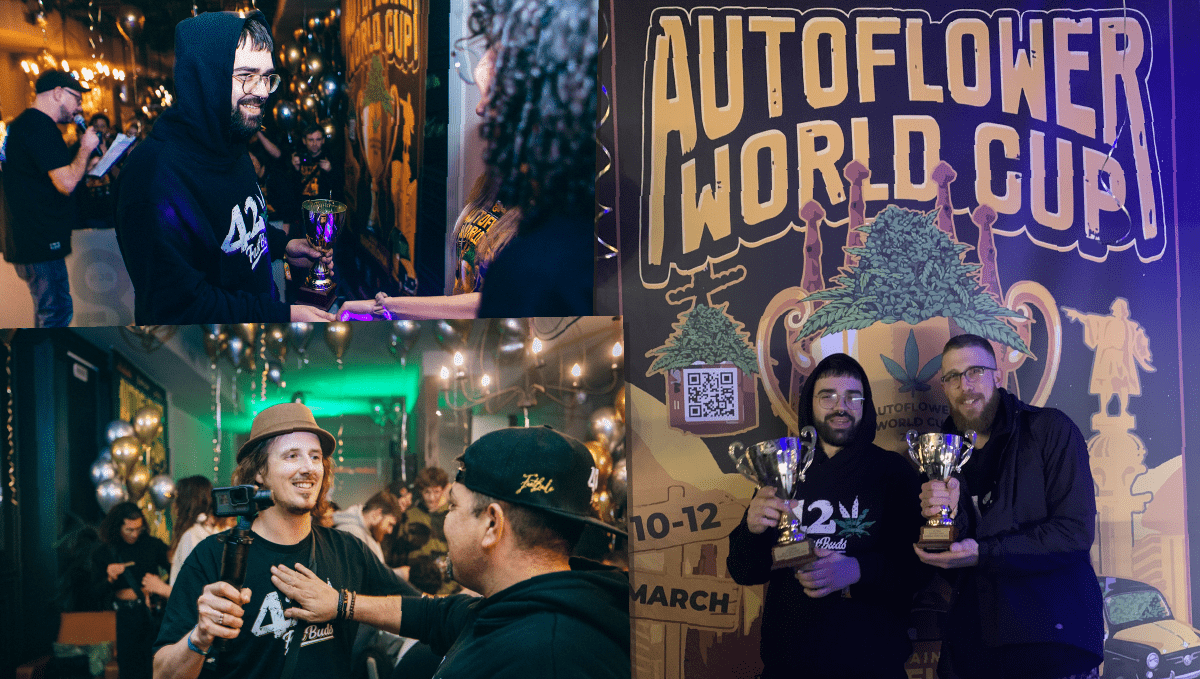 Gorilla Punch Auto ocupă locul 1 la AWC 2022