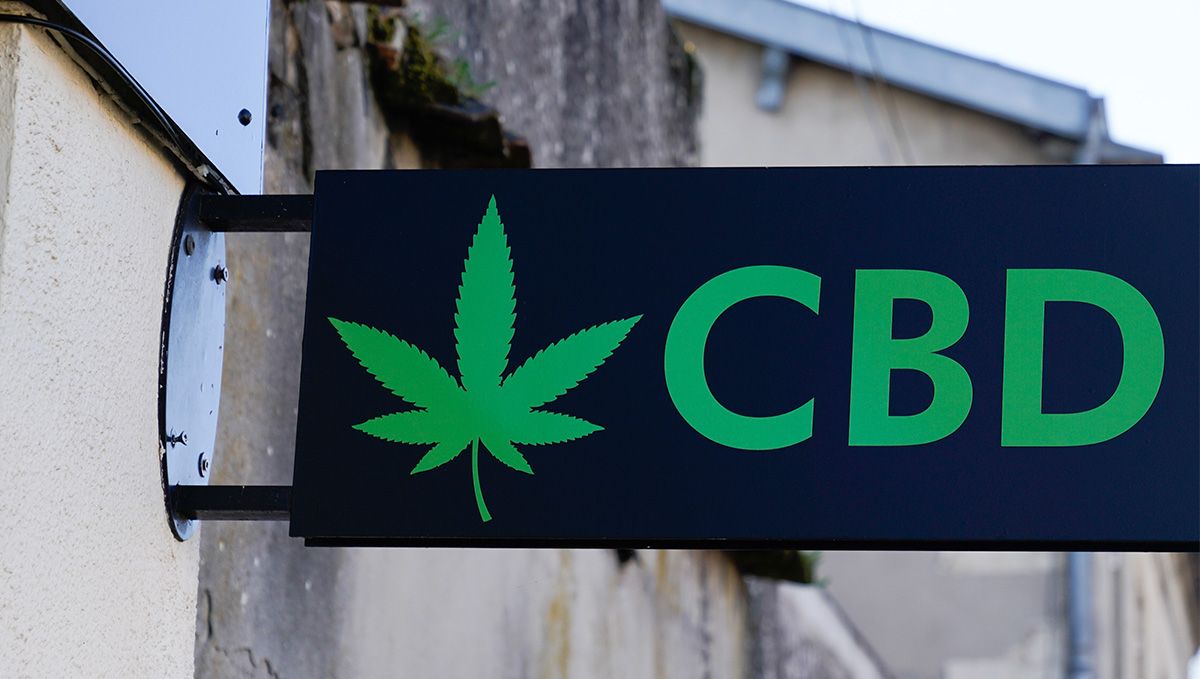 Weed in Argentina: Cannabis Legal Status Guide: The interior of a D. Cultivo grow shop Weed in Argentina: Cannabis Legal Status Guide: The interior of a D. Cultivo grow shop