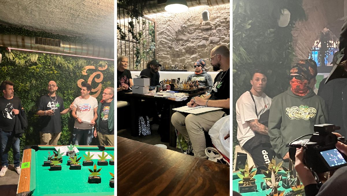 Strawberry Gorilla Auto na 1. místě na CannaFrench Cupu
