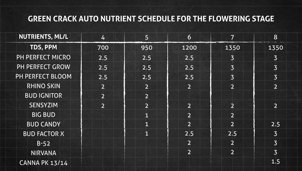 Green Crack Auto cannabis strain: flower nutrient schedule