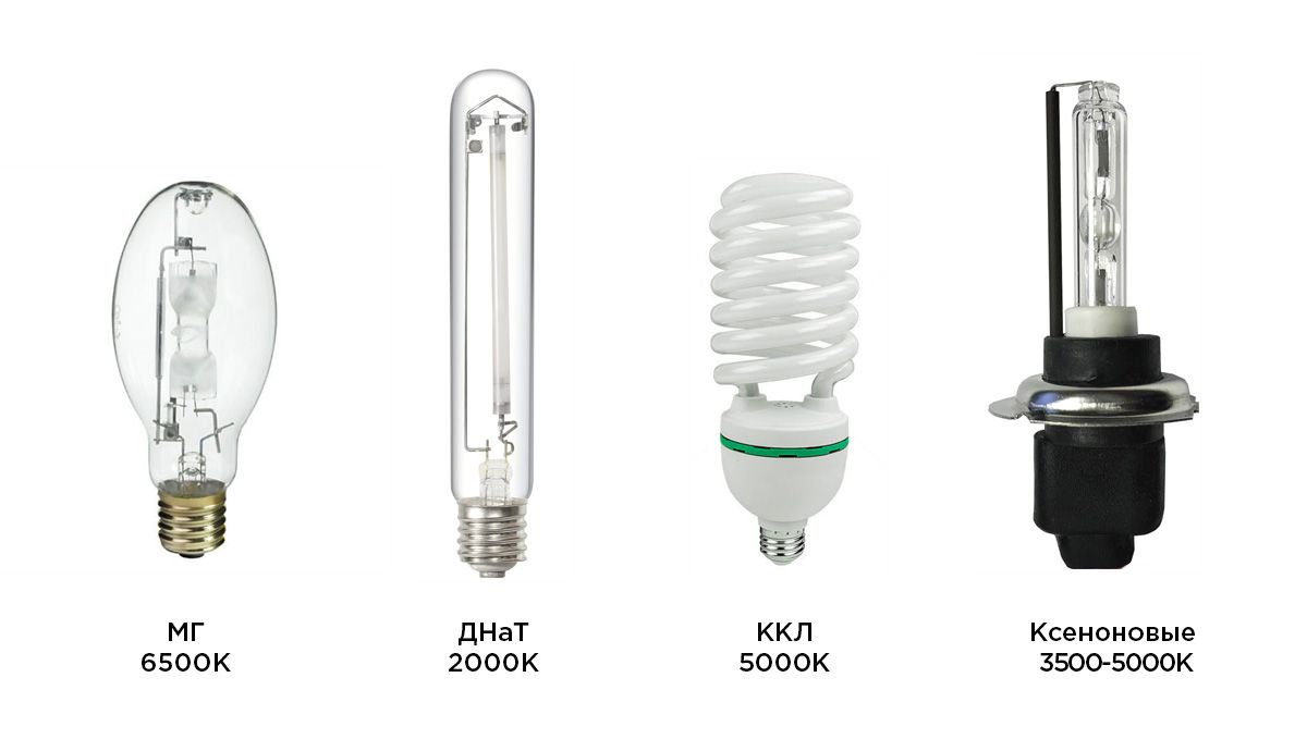 Light Bulbs.jpg Best light spectrum for autos: hps, mh, cfl and hid