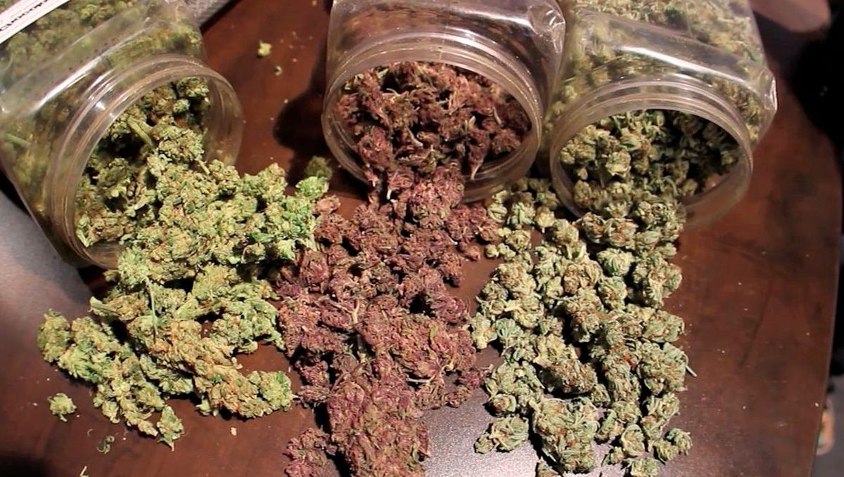 Was ist Synthetisches Cannabis: Aussehen Synthetisches Gras wird in der Regel gemahlen und nicht in Blütenform angeboten.