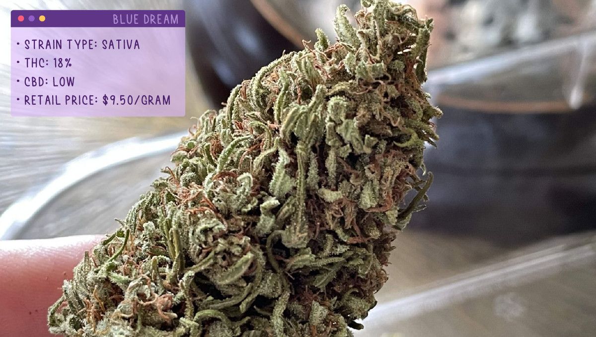 22 Best Weed Strains to Try in 2022: Blue Dream