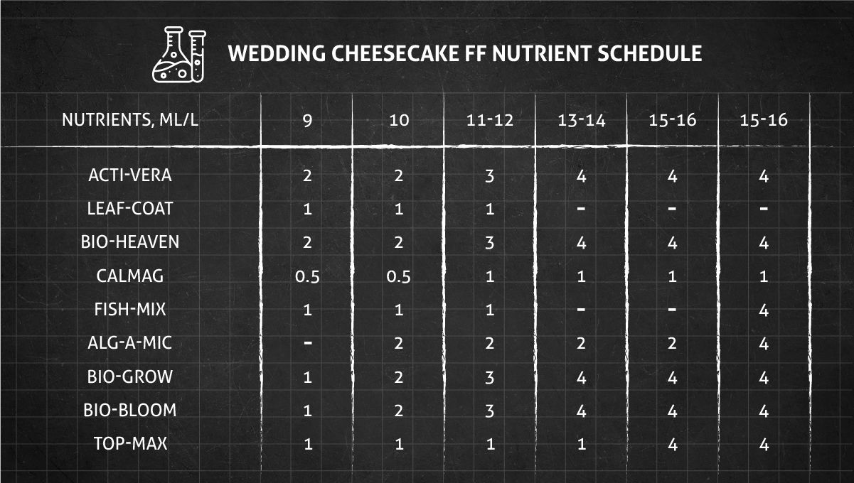 Wedding Cheesecake FF cannabis strain: flower nutrient schedule