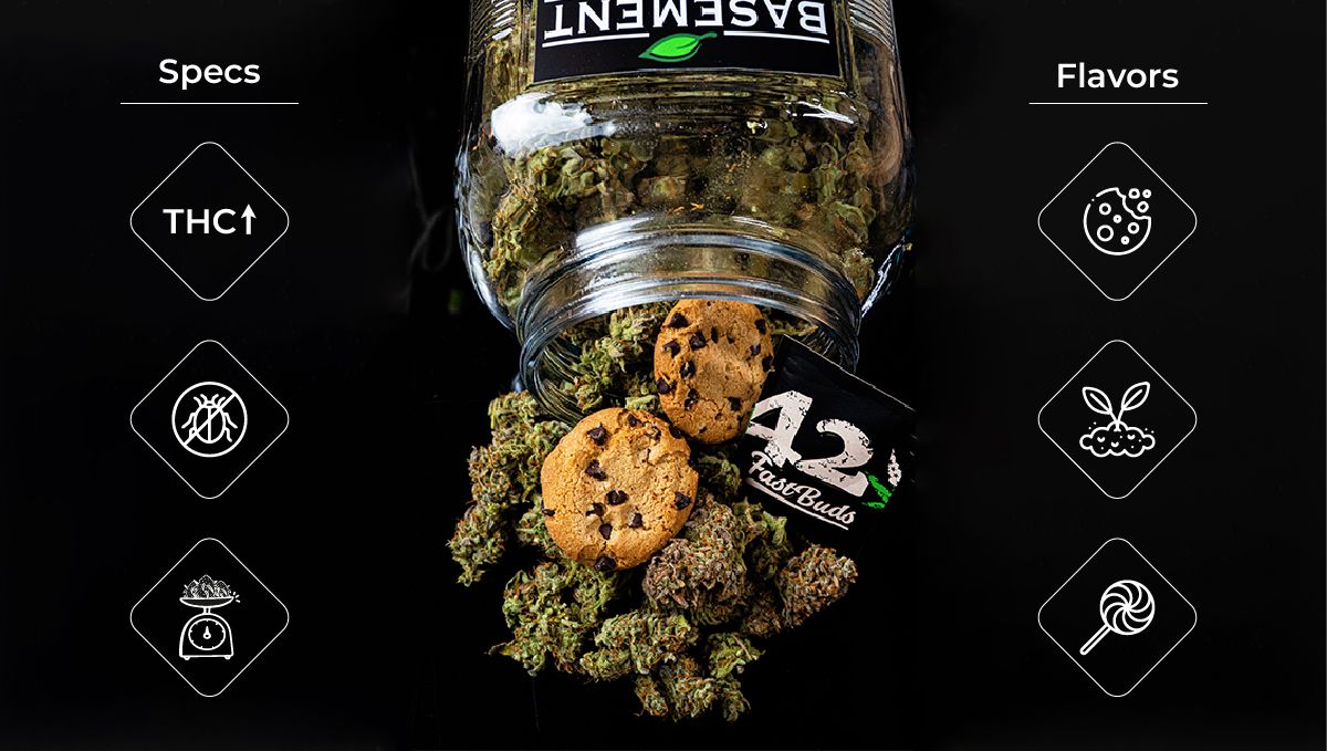 Modern autoflowers are very different from the first generations and have nothing to envy to most photoperiods. Modern autoflowers are very different from the first generations and have nothing to envy to most photoperiods.