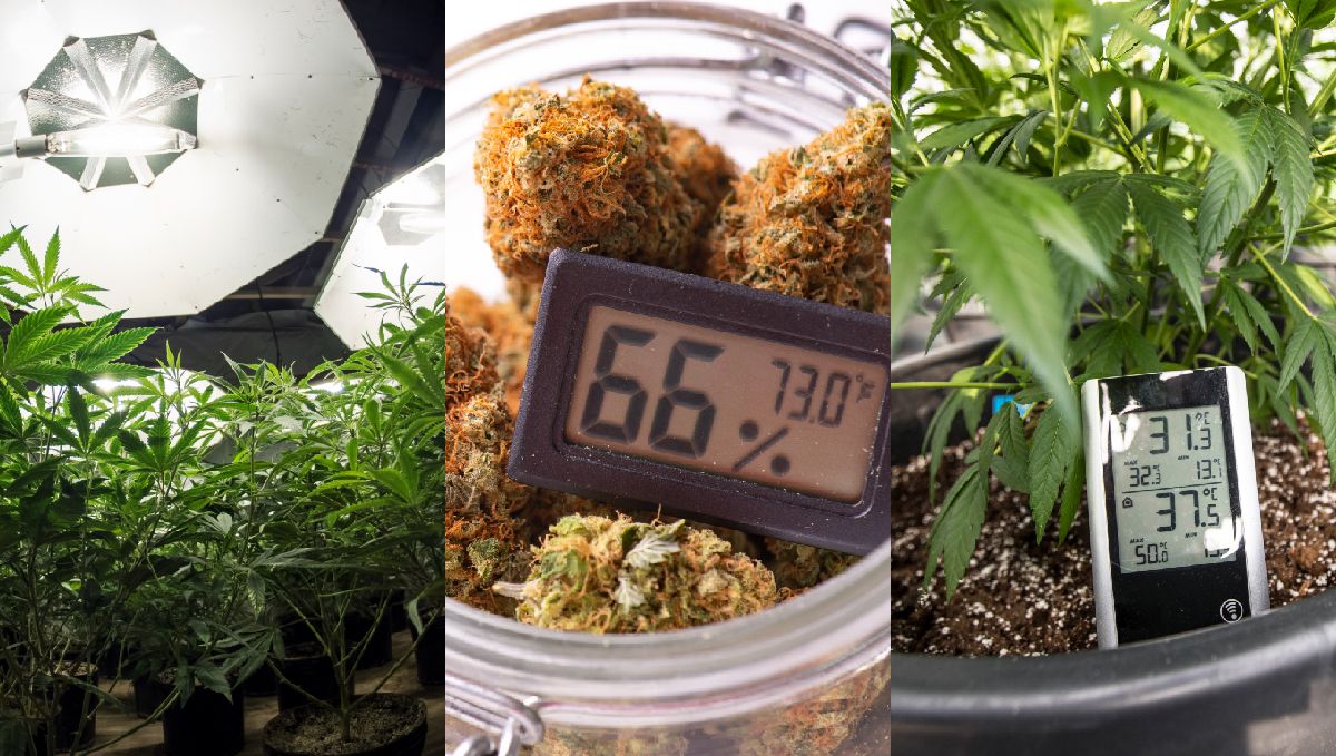 The importance of air circulation: other factors The importance of air circulation: other factors