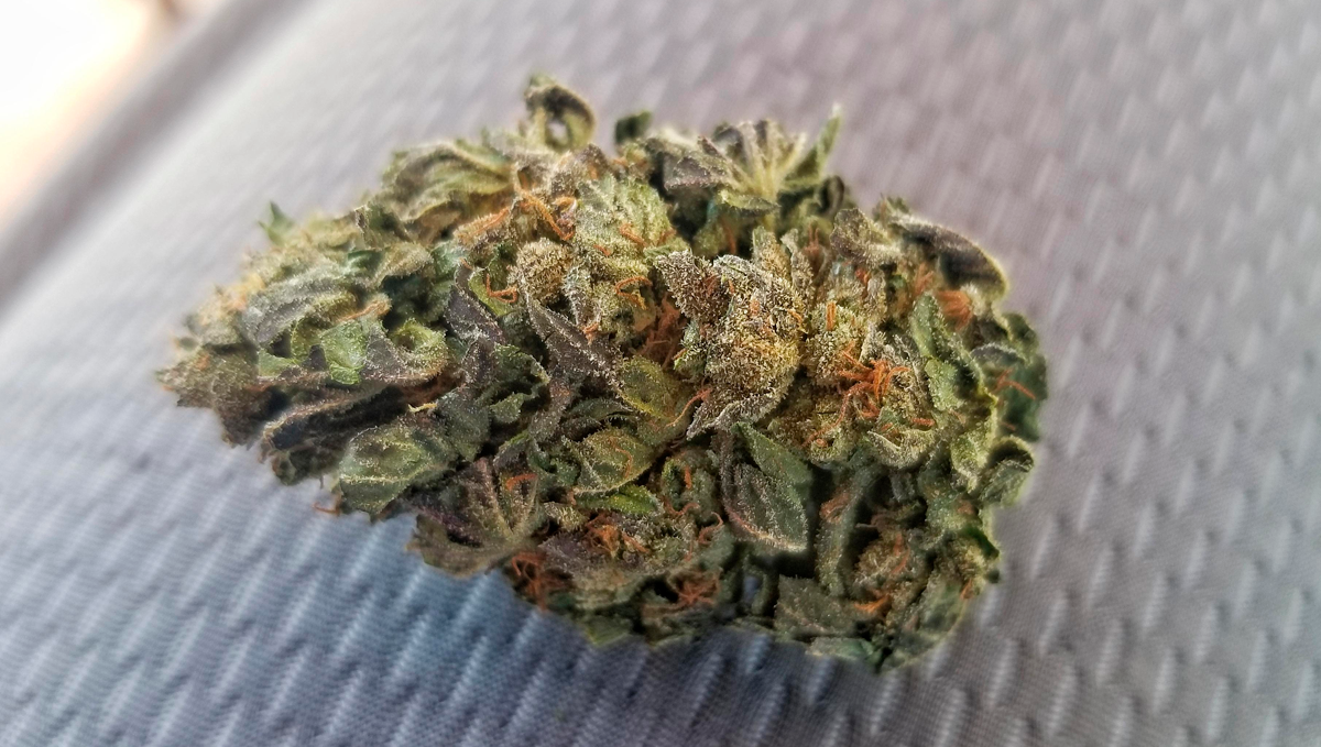 Weed in pakistan: possession Weed in pakistan: possession